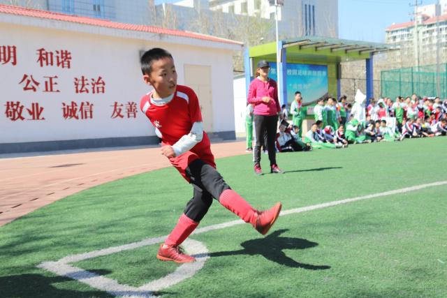 余嘉豪24+17浙江力克青岛 杨瀚森11+14+9